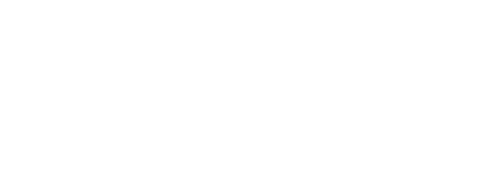 logo NFZ